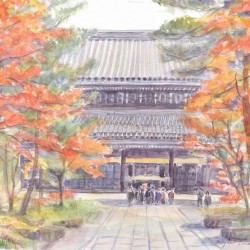 南禅寺　法堂前の紅葉