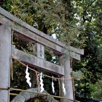 山伏、盗賊、百鬼夜行の東山