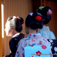 春桜・舞妓さんの舞をどり
