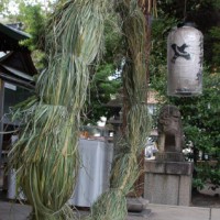 夏越祓　茅の輪くぐり 熊野神社