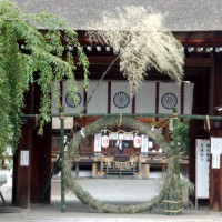 夏越祓　茅の輪くぐり 平野神社