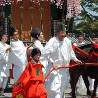 葵祭 　雅と勇壮