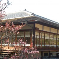 梅 渉成園（枳殻邸）