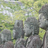 きゅうり封じ 五智山蓮華寺