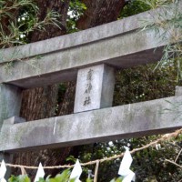 夏越祭　祇園祭 八坂神社  スサノオノミコト　蘇民将来