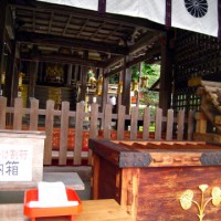 松尾祭 双葉葵 松尾大社 大山昨神　中津島姫命