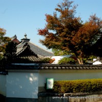 紅葉紀行　陽だまり東福寺山内
