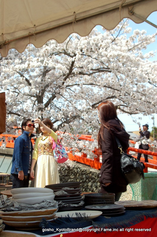 桜と茶だんごで宇治三昧 京に癒やされ