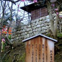 文化遺産　お土居　梅花祭 駒札 お土居下梅苑　北野天満宮 豊臣秀吉