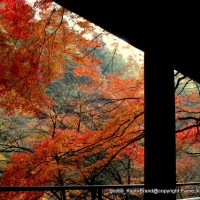 晩秋の貴船紅葉紀行