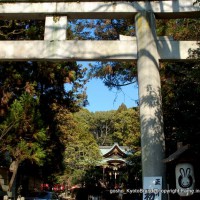 初詣にうさぎ神社へ　狛兎の岡崎神社
