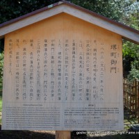 京都御苑 春一番を歩く