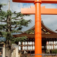 初詣　狛犬 狛龍　パワースポット 瀧尾神社