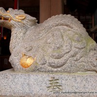 初詣　狛犬 狛龍　パワースポット  伏見神宝神社