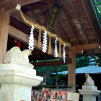 初詣　狛犬 狛龍　パワースポット 伏見神宝神社