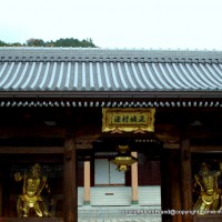 瀧尾神社と本圀寺の龍