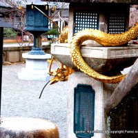 瀧尾神社と本圀寺の龍