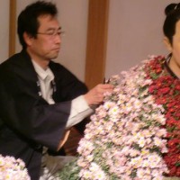 献菊