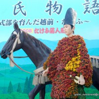 献菊
