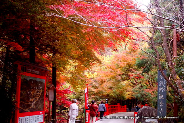 泉涌寺 紅葉の歩きかた 京に癒やされ