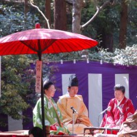 桜見に曲水宴