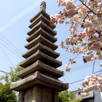 八重桜の園 千本ゑんま堂