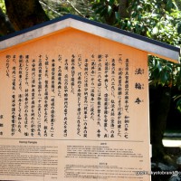 京の旅　/ 　十三詣りに桜茶・桜餅