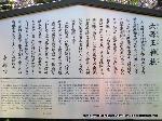 洛中洛外京桜図　一見さんの桜に通の桜　編　その三