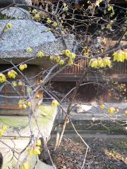 道真公と丑に梅