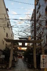 誘われて京の梅