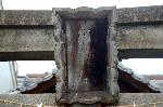 誘われて京の梅 : 管大臣神社の鳥居に架けられた「紅梅殿」の額
