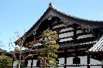 紅葉紀行　陽だまり東福寺山内 : 現存する最大最古の禅堂