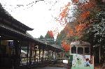 京都の狛犬達　/ 変り種 2