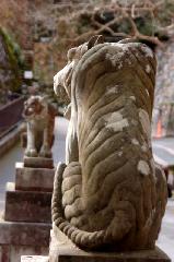 京都の狛犬達　/ 狛亥の巻
