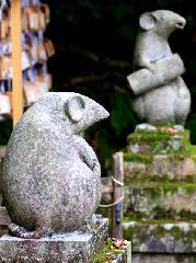 京都の狛犬達　/ 狛鼠・狛猿・狛鳶