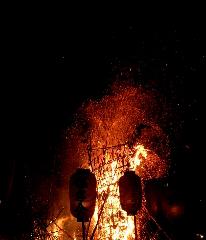 観梅　清凉寺の軒端梅