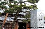 知られざる桜の見所