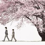 平成のさくら唄