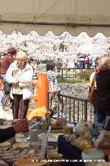 梅と松の北野さんと御霊信仰