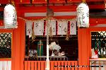 洛中洛外京桜図　一見さんの桜に通の桜　編　その二