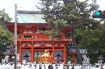 京の春祭/　紫野御霊会　今宮神社 : 楼門前の大宮神輿