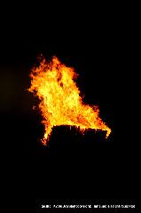 松上げ知らずして　火祭りは語れず : 聖火のごとく大笠は燃え盛る
