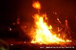 松上げ知らずして　火祭りは語れず : 千本の地松も大笠の火床に燃される