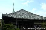 織田信長を訪ねて　阿弥陀寺・大雲院・総見院 : 本堂のはるか上に金鶏が