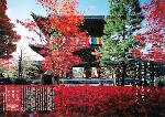 秋のくろ谷　金戒光明寺 : JR東海「そうだ　京都、行こう。」のポスター