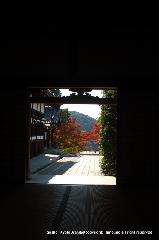 秋のくろ谷　金戒光明寺 : 寺務所の玄関口