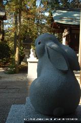 初詣にうさぎ神社へ　狛兎の岡崎神社 : 狛うさぎ