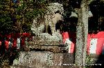 初詣にうさぎ神社へ　狛兎の岡崎神社 : 拝殿下の狛犬(左)