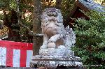 初詣にうさぎ神社へ　狛兎の岡崎神社 : 拝殿下の狛犬(右)