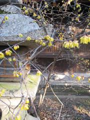 節分の西陣を歩いて